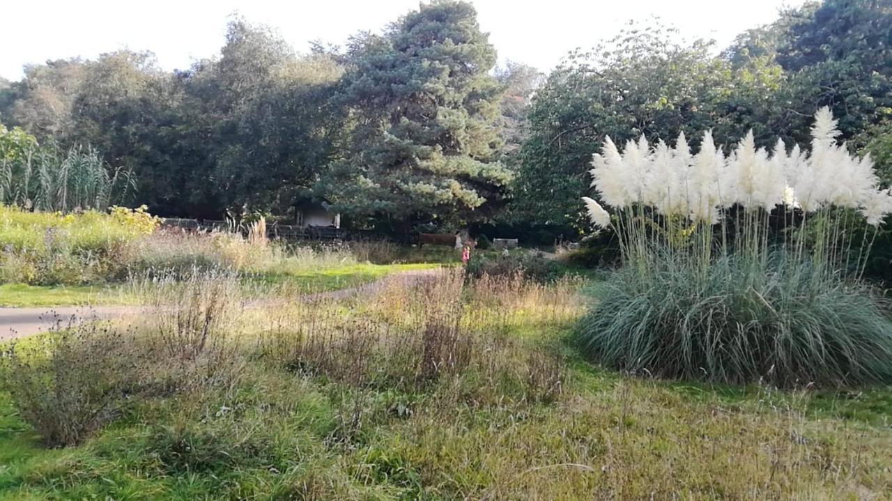 Many Worlds Meet - Eurostar, Wimbledon 30 Mins, Central London, Gatwick 15 Mins - Spacious, Sleeps Up To 16 Plus Cot - Free Wifi, Parking - Next To Lloyd Park, Great For Families, Walkers, Relocators - Ideal For Contractors London Borough of London Borough of Croydon Exterior foto