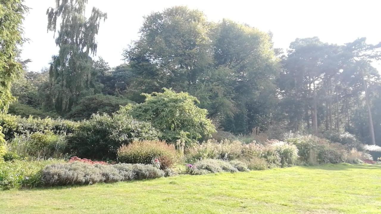 Many Worlds Meet - Eurostar, Wimbledon 30 Mins, Central London, Gatwick 15 Mins - Spacious, Sleeps Up To 16 Plus Cot - Free Wifi, Parking - Next To Lloyd Park, Great For Families, Walkers, Relocators - Ideal For Contractors London Borough of London Borough of Croydon Exterior foto