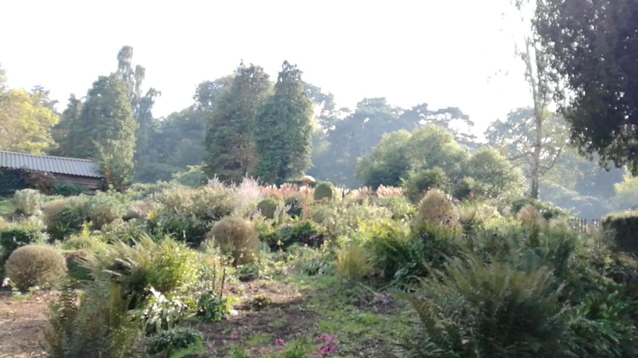 Many Worlds Meet - Eurostar, Wimbledon 30 Mins, Central London, Gatwick 15 Mins - Spacious, Sleeps Up To 16 Plus Cot - Free Wifi, Parking - Next To Lloyd Park, Great For Families, Walkers, Relocators - Ideal For Contractors London Borough of London Borough of Croydon Exterior foto