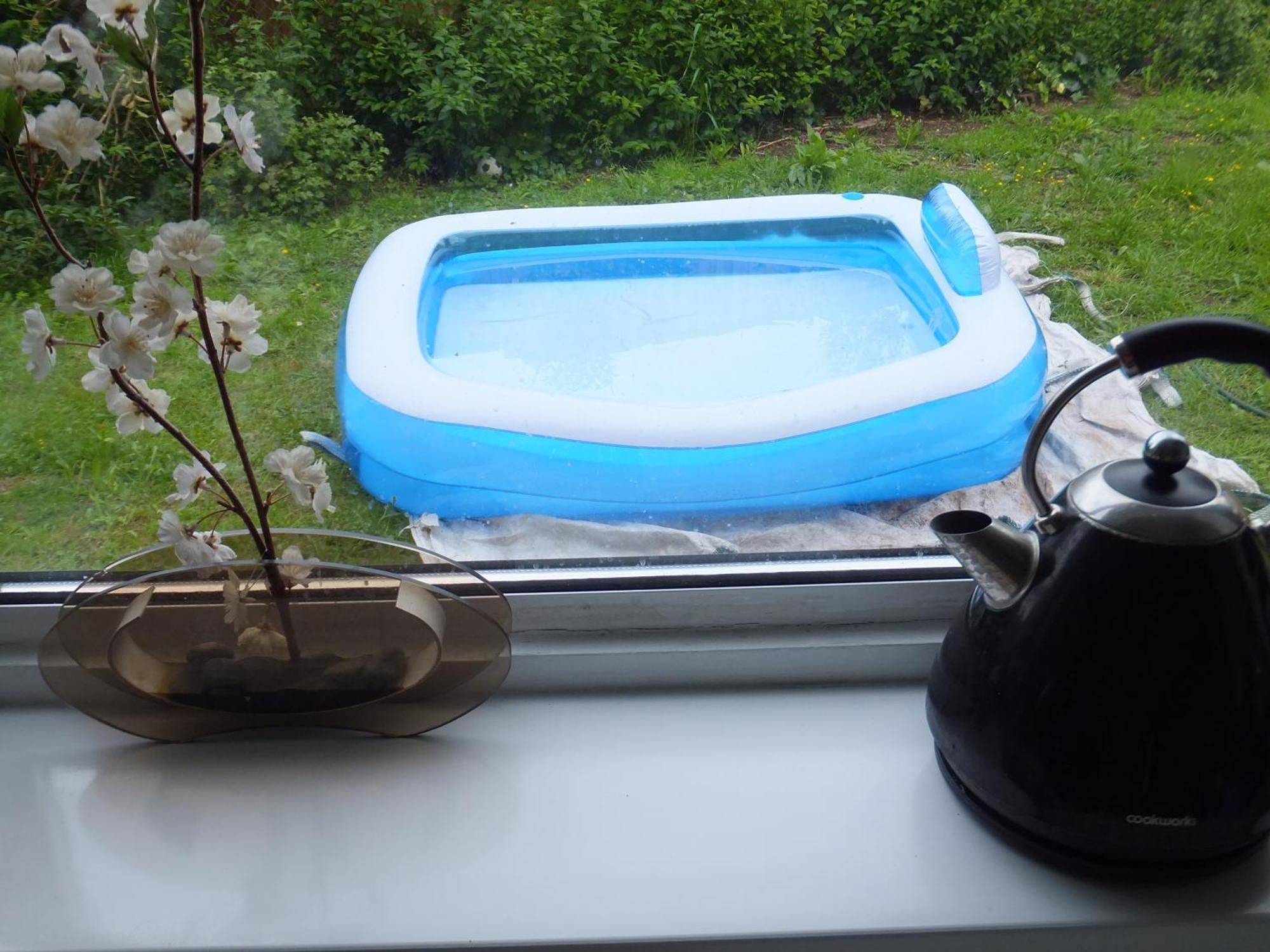 Many Worlds Meet - Eurostar, Wimbledon 30 Mins, Central London, Gatwick 15 Mins - Spacious, Sleeps Up To 16 Plus Cot - Free Wifi, Parking - Next To Lloyd Park, Great For Families, Walkers, Relocators - Ideal For Contractors London Borough of London Borough of Croydon Exterior foto
